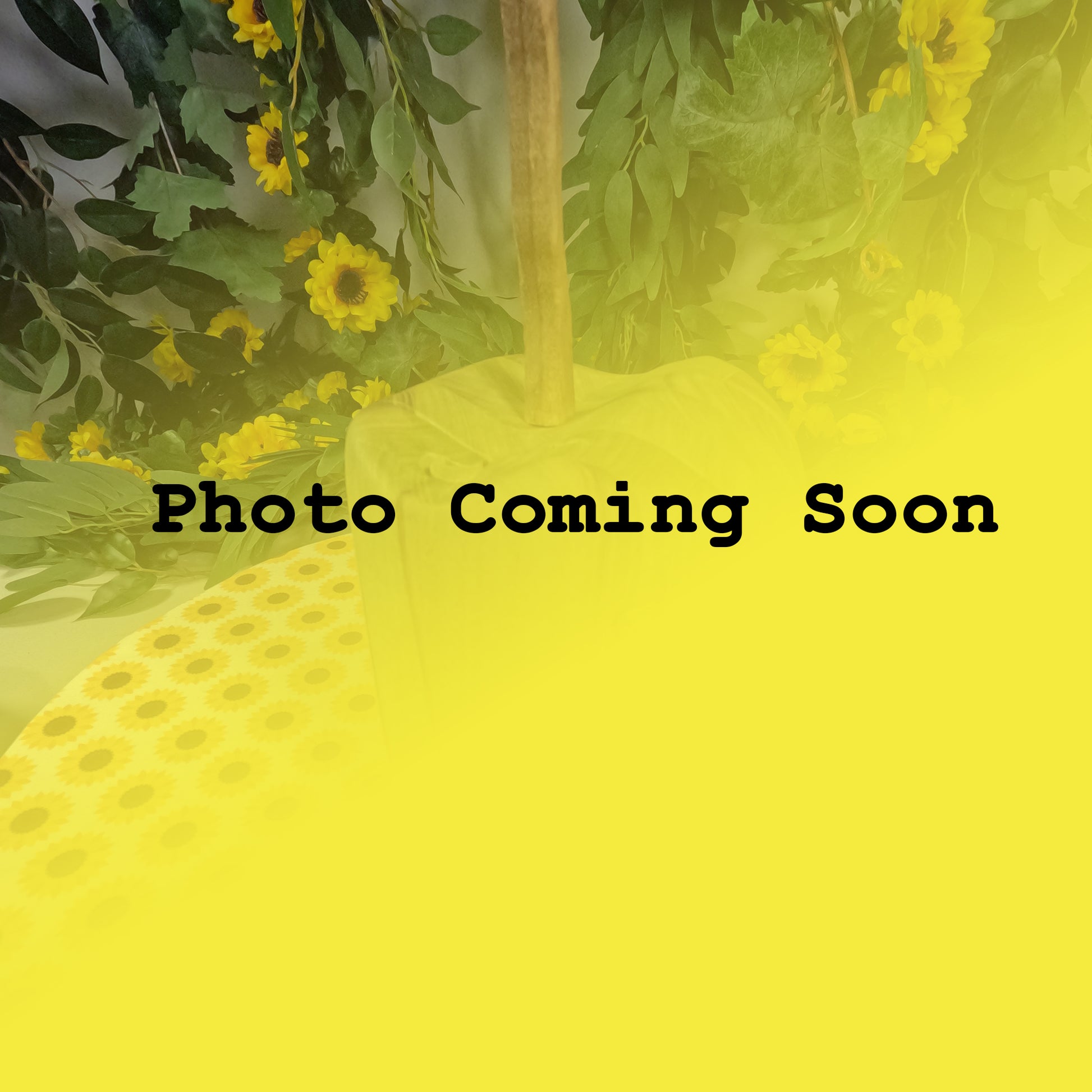 Placeholder image with 'Photo Coming Soon' text and yellow background